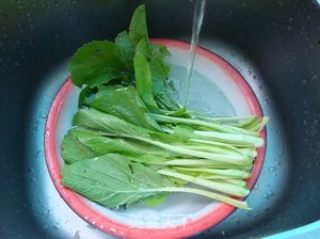 Elegant and Refreshing Edamame and Cabbage Soup recipe
