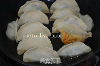 Fried Dumplings recipe