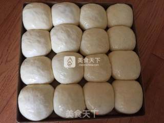 Polish Seed Honey Bean Meal Buns recipe