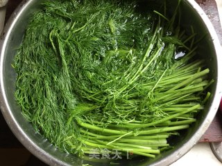 #春食野菜香# Fennel Box recipe