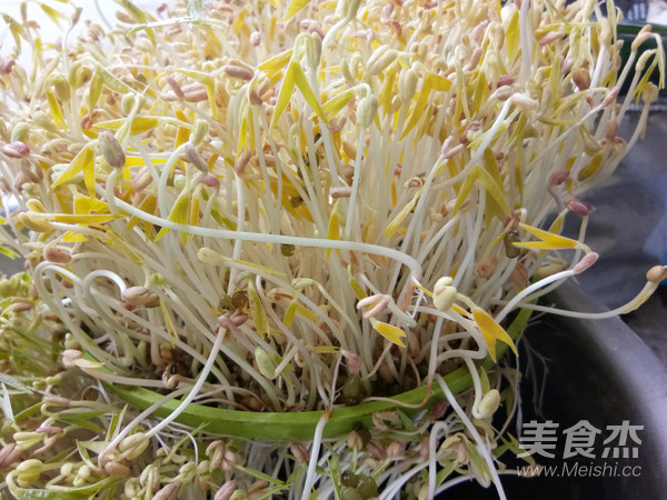 Stir-fried Bean Sprouts with Leek recipe