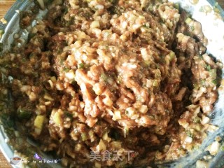 Pork and Green Onion Buns recipe
