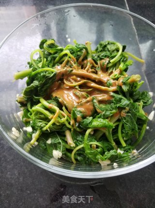 Amaranth with Sesame Sauce recipe