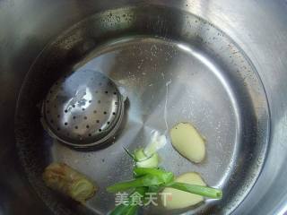 [flying Birds and Animals]: Braised Beef recipe