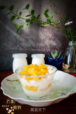 Homemade Yogurt recipe