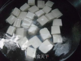 Tofu with Minced Pork in Soy Sauce recipe