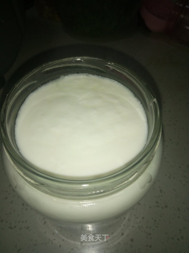 #夏喝# Homemade Yogurt recipe