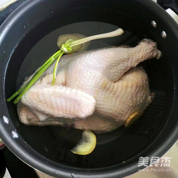 Saliva Chicken recipe