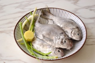 【steamed Pomfret with Soy Sauce】 recipe