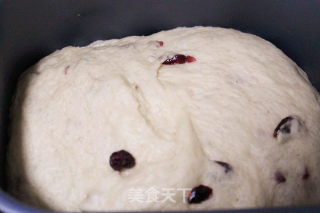 Cranberry Bread recipe