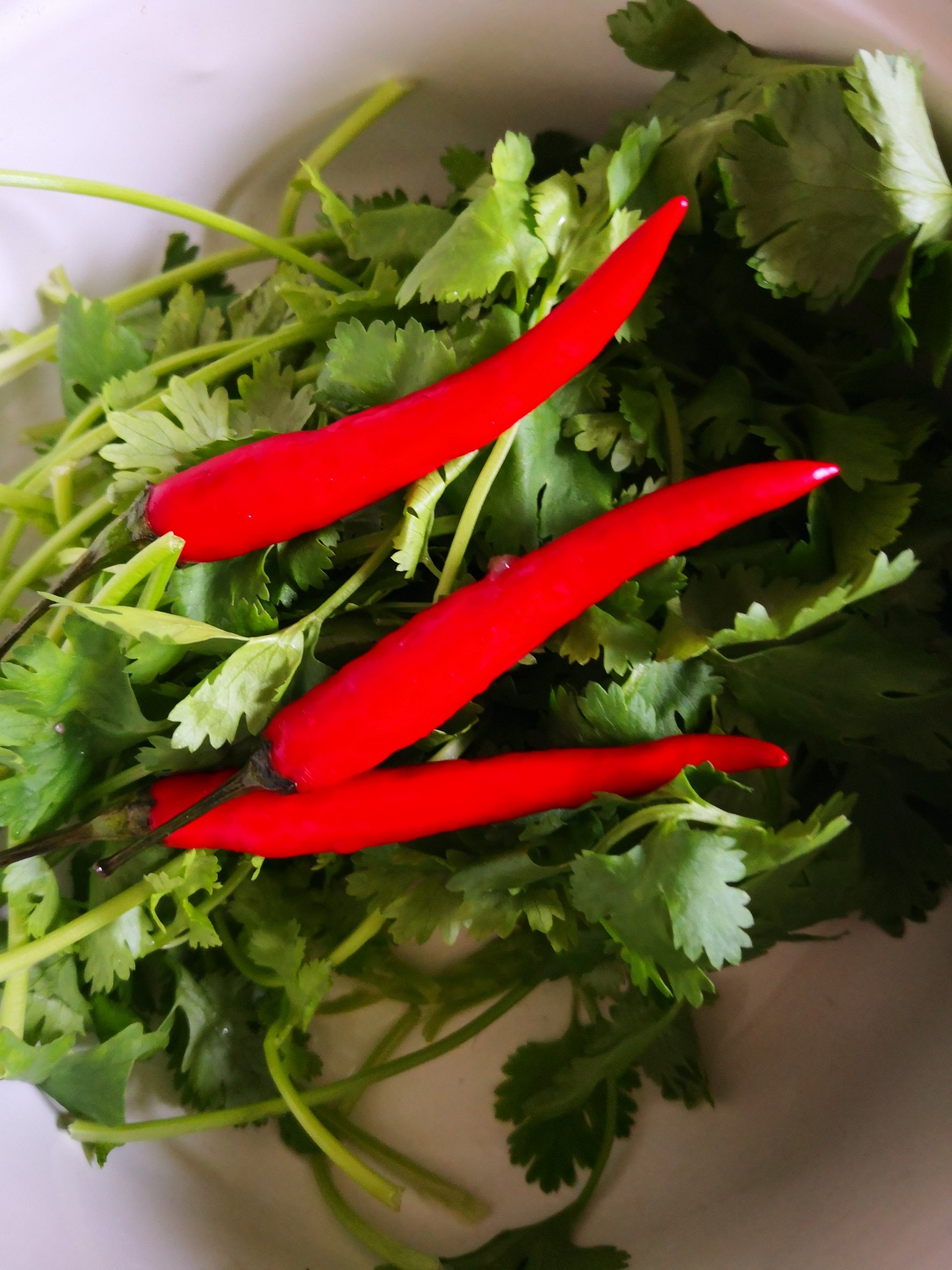 Millet Spicy Eggplant recipe