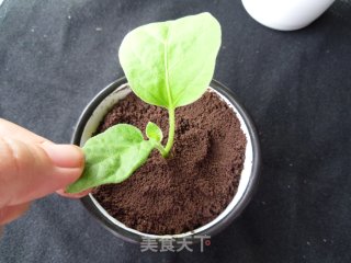 New Fashion-potted Ice Cream recipe