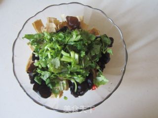 Coriander Bean Oil Skin Mixed with Fungus recipe