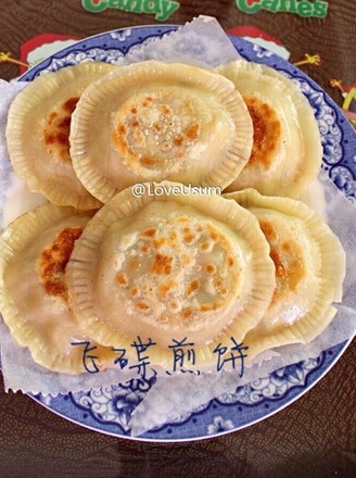 Ufo Fried Dumplings recipe