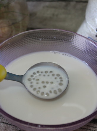 Milk Sago