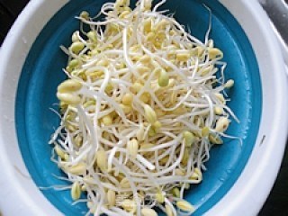 Bean Sprouts Stewed Vermicelli recipe