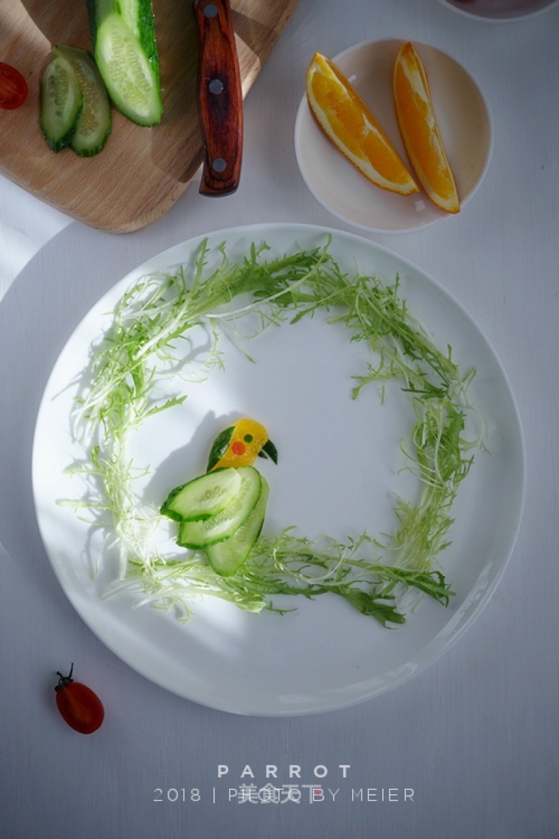 Parrot Dinner Plate Painting recipe