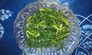 Celery Leaf Salad recipe