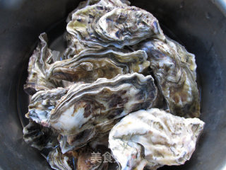 Fried Oysters recipe