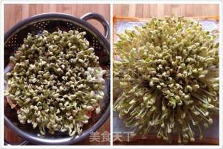 Inch Golden Mung Bean Sprouts recipe
