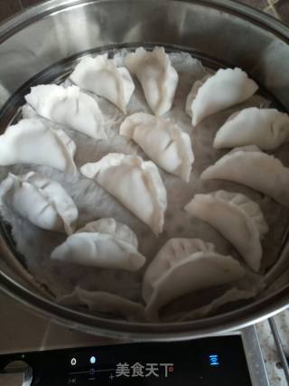 Homemade Shrimp Dumplings recipe