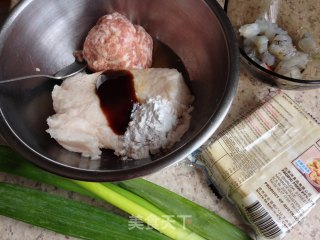 Easy Fried Dumplings recipe