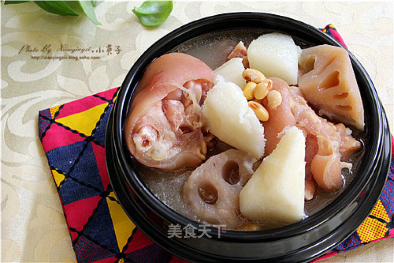 Trotter Soybeans, Lotus Root and Yam Pot recipe