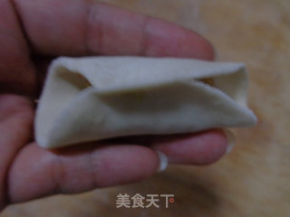 Pork Cabbage Dumplings recipe