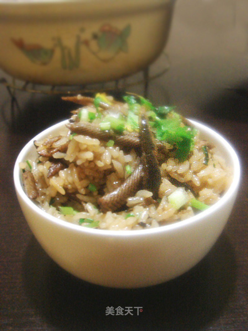 My Favorite Claypot Rice-taishan Rice Eel