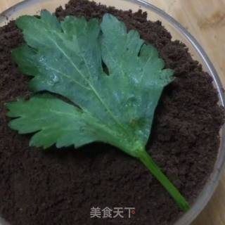 Oreo Potted Plants recipe