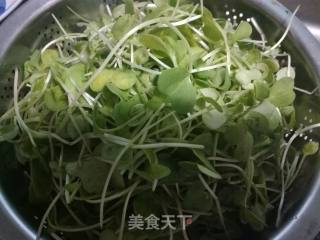 Radish Sprouts recipe