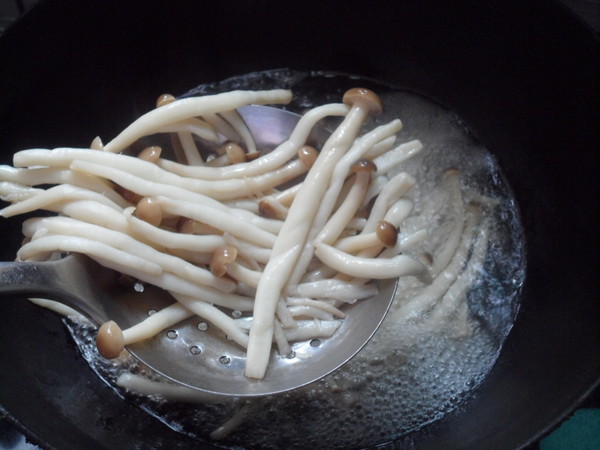 Cold Tea Tree Mushroom recipe
