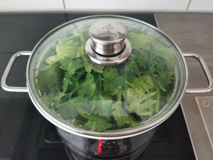 Green Tonic for Detoxification and Liver Nourishment recipe
