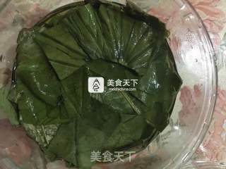 Winter Melon, Yam and Lotus Leaf Fresh Brewed Enzyme recipe