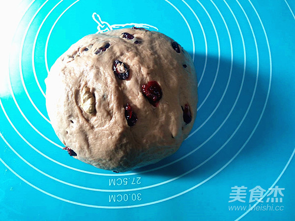 Cranberry Walnut Soft European Buns recipe