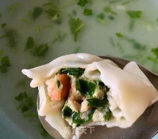 Shrimp Wonton recipe