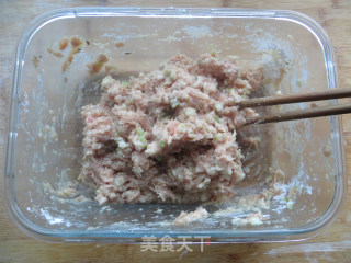 【non-fried Roast Meat Balls】--crispy Outside and Tender Inside recipe