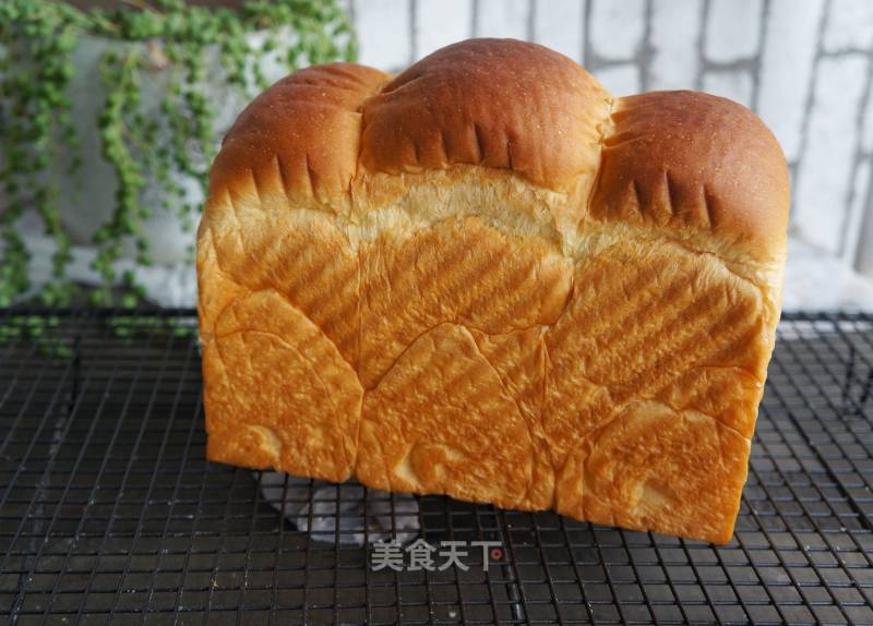 Whipped Cream Toast recipe
