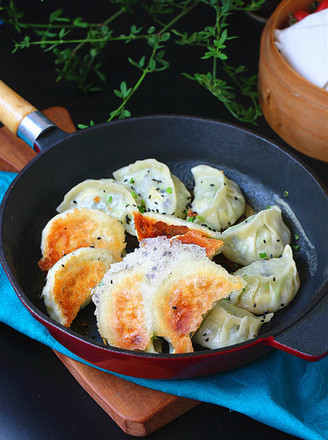 Zucchini Fried Dumplings recipe