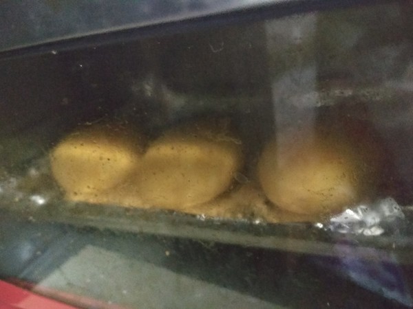 Potato Bread recipe