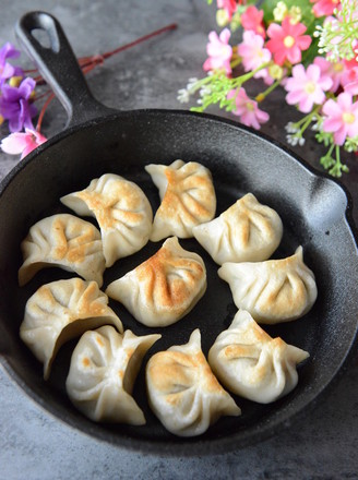 Pork and Leek Stuffed Pot Stickers recipe