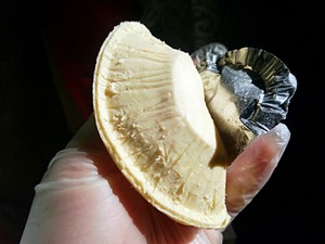 Super Simple ~ Lazy Version of Fresh Meat Mooncakes recipe