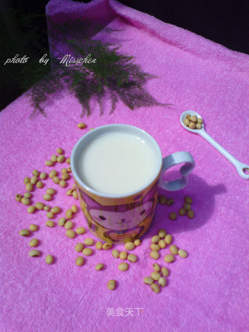 Original Soy Milk recipe