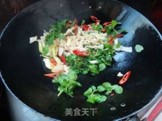 Stir-fried Fennel with Mint and Pickled Peppers recipe