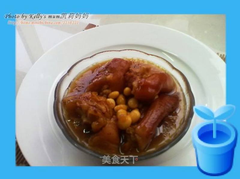 Soy Pork Trotters in Clay Pot recipe