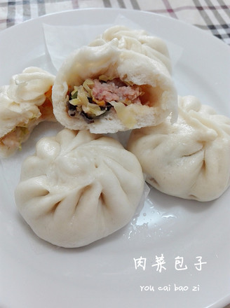 Rou Cai Baozi recipe