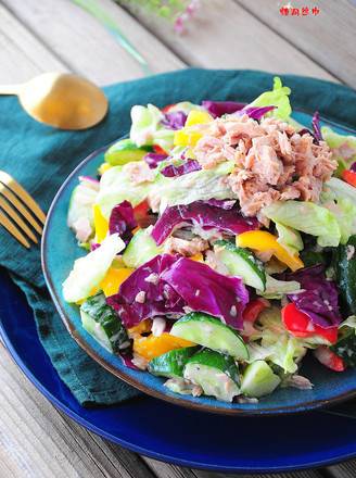 Tuna Vegetable Salad recipe