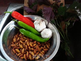 Silkworm Chrysalis-hometown Cuisine recipe