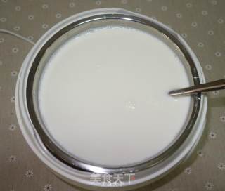 Homemade Yogurt recipe