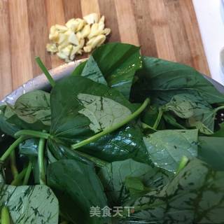 Stir-fried Sweet Potato Leaves with Garlic recipe